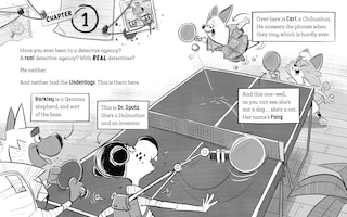 Aper&ccedil;u du contenu 5_The Underdogs Fake It Till They Make It