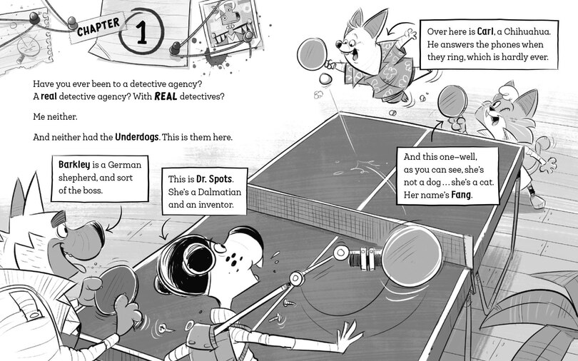 Aper&ccedil;u du contenu 5_The Underdogs Fake It Till They Make It