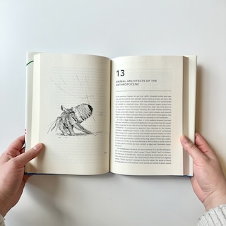 Sample content 2_The Urban Naturalist