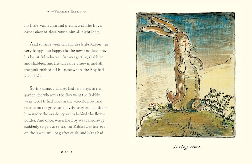 Aper&ccedil;u du contenu 2_The Velveteen Rabbit Collector's Edition