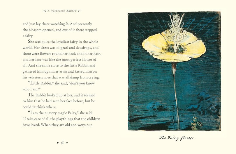 Aper&ccedil;u du contenu 3_The Velveteen Rabbit Collector's Edition