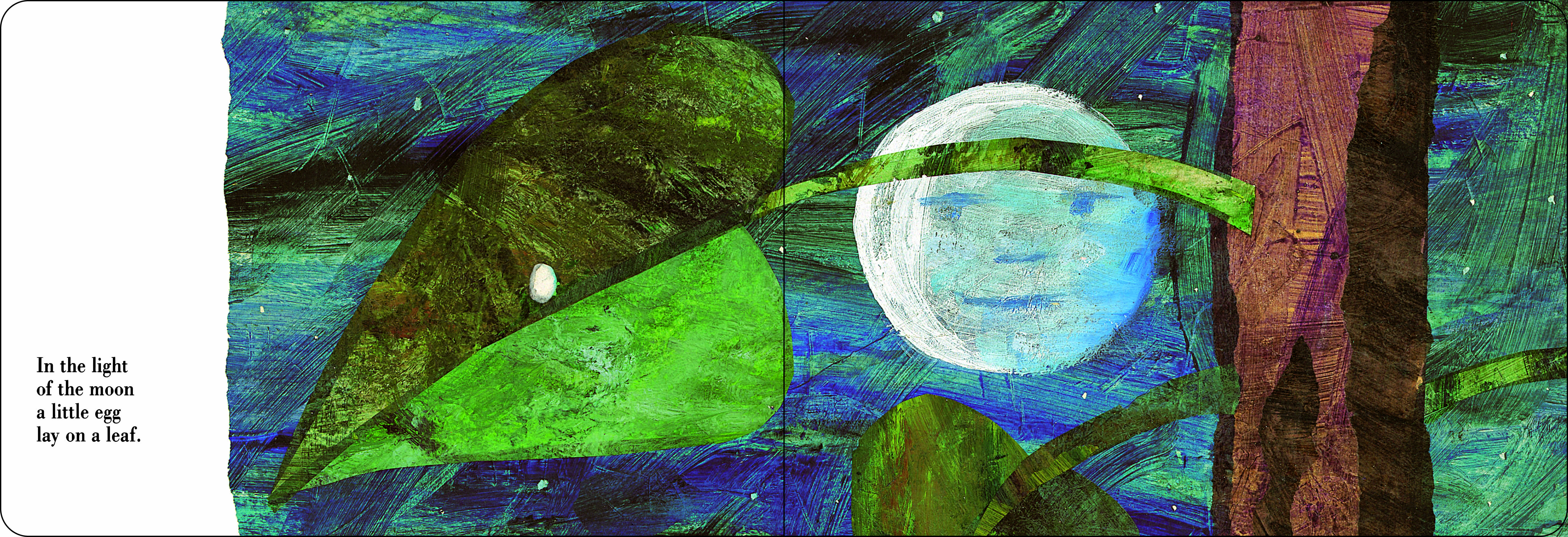 Sample content 3_The Very Hungry Caterpillar Padded Board Book