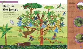 Sample content 4_The Very Hungry Caterpillar's Very First Encyclopedia