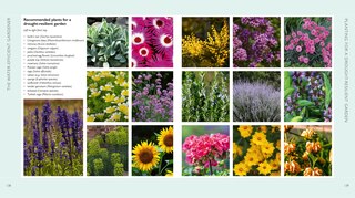 Aper&ccedil;u du contenu 2_The Water-Efficient Gardener