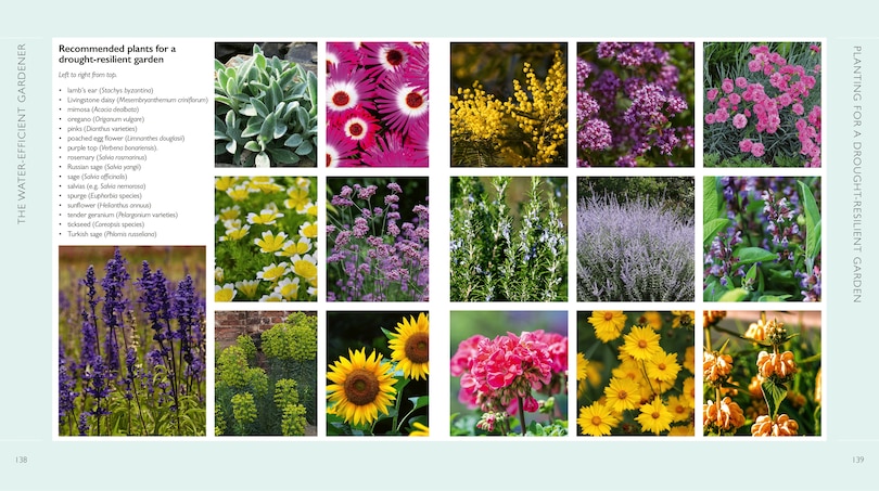 Aper&ccedil;u du contenu 2_The Water-Efficient Gardener
