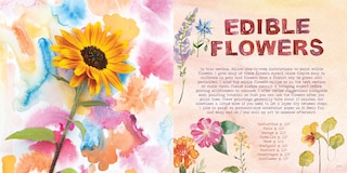 Sample content 5_The Watercolor Feast