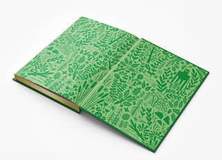 Sample content 3_The Wild Robot: Collector's Edition