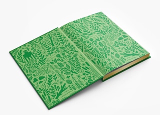 Sample content 4_The Wild Robot: Collector's Edition