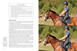 Sample content 4_The Wilson Sisters' Horse and Pony Guide