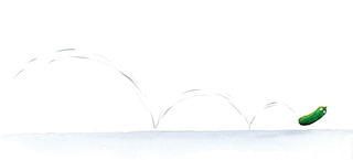 Sample content 4_The Wise Pickle