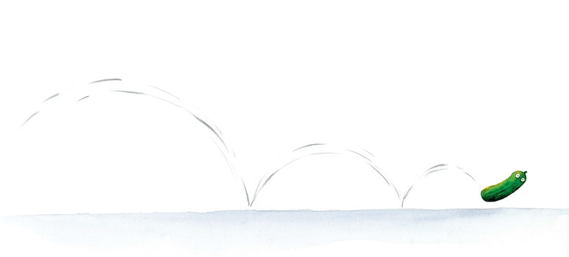 Sample content 4_The Wise Pickle