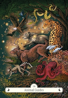 Sample content 5_The Witch's Way Home Oracle