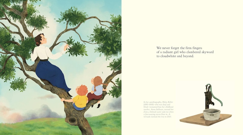 Sample content_The Witness Trees