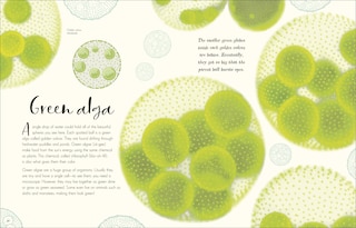 Sample content 2_The Wonders Of Nature