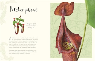 Sample content 3_The Wonders Of Nature