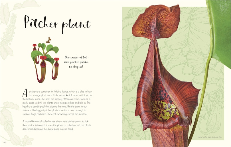 Sample content 3_The Wonders Of Nature