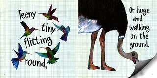 Sample content_The Word Bird