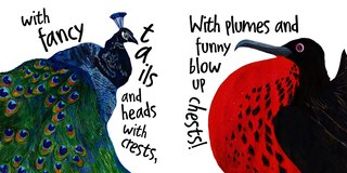 Sample content 4_The Word Bird