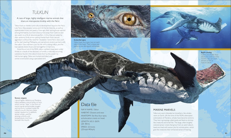 Aper&ccedil;u du contenu 3_The World of Avatar Updated Edition