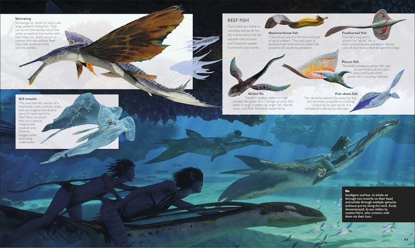 Aper&ccedil;u du contenu 4_The World of Avatar Updated Edition