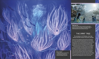 Aper&ccedil;u du contenu 5_The World of Avatar Updated Edition