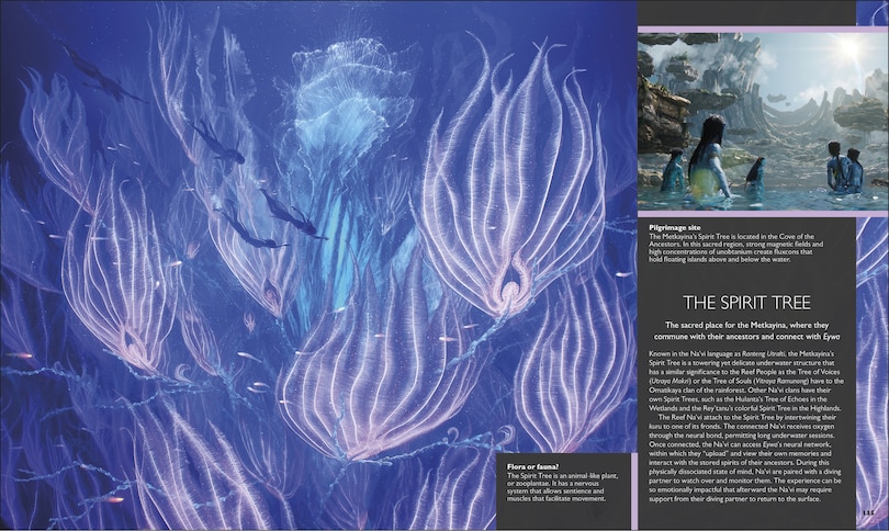 Aper&ccedil;u du contenu 5_The World of Avatar Updated Edition