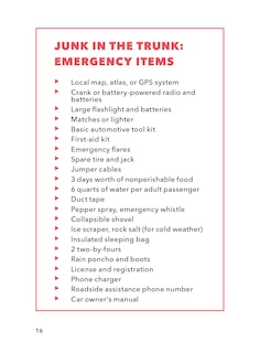 Sample content 4_The Worst-Case Scenario Pocket Guide: Driving