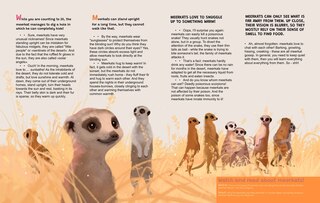 Aper&ccedil;u du contenu 4_The Zooest Zoo