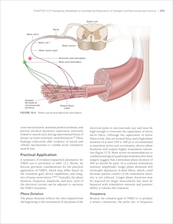 Aper&ccedil;u du contenu_Therapeutic Interventions for Musculoskeletal Conditions