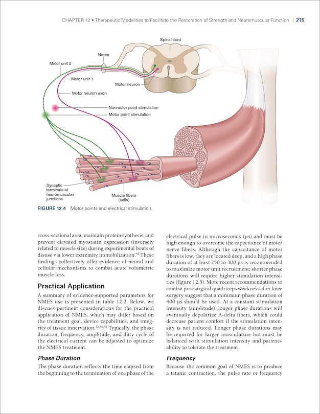 Aper&ccedil;u du contenu_Therapeutic Interventions for Musculoskeletal Conditions