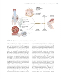 Aper&ccedil;u du contenu 2_Therapeutic Interventions for Musculoskeletal Conditions