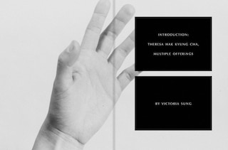 Aper&ccedil;u du contenu 4_Theresa Hak Kyung Cha: Multiple Offerings