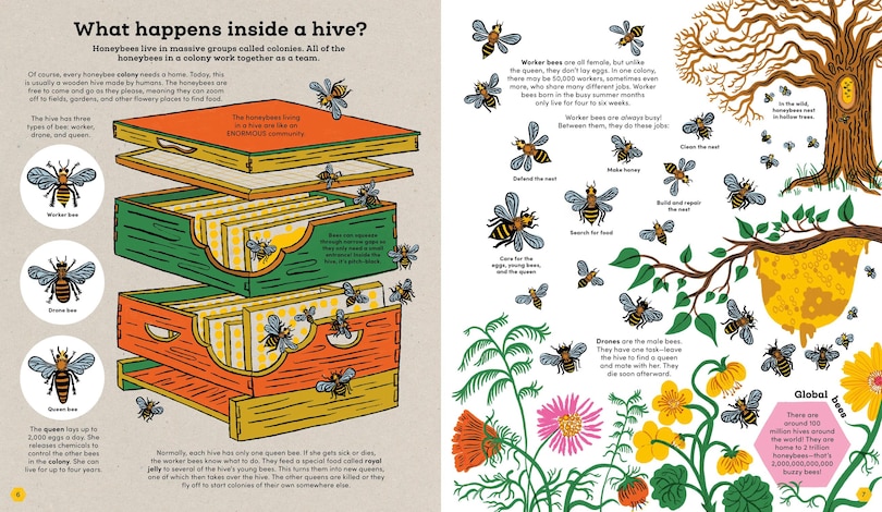 Aperçu du contenu_Think Big: Secrets of Bees