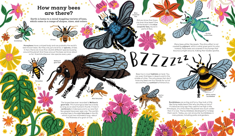 Aperçu du contenu 2_Think Big: Secrets of Bees