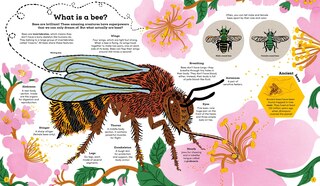 Aperçu du contenu 3_Think Big: Secrets of Bees
