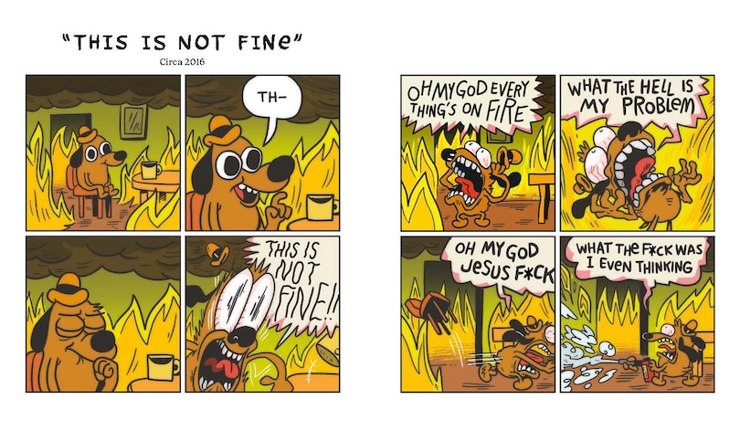 Aper&ccedil;u du contenu 4_This is Fine: Life Lessons for a World on Fire