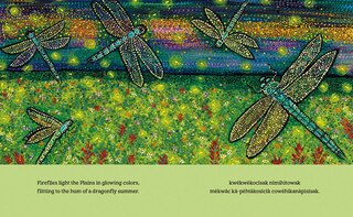 Aperçu du contenu 2_This Land Is a Lullaby / cistomâwasowin ôma askiy