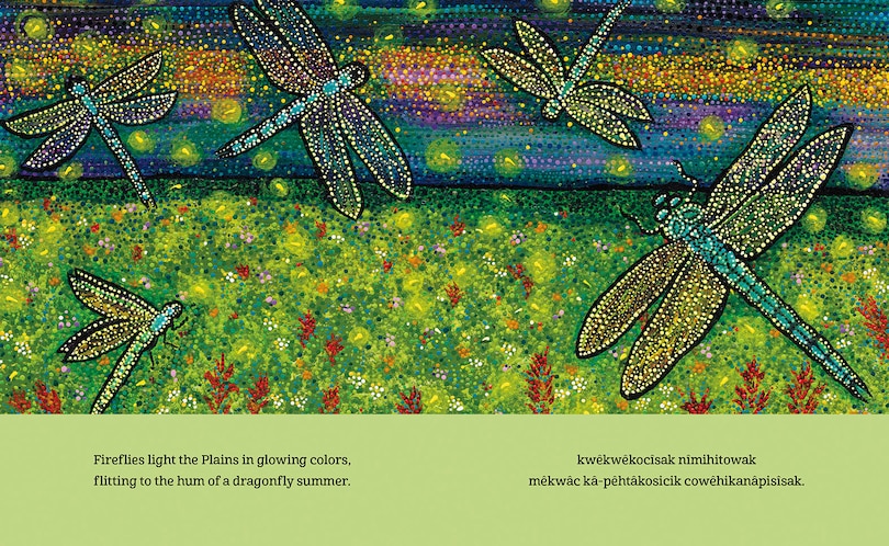 Aperçu du contenu 2_This Land Is a Lullaby / cistomâwasowin ôma askiy