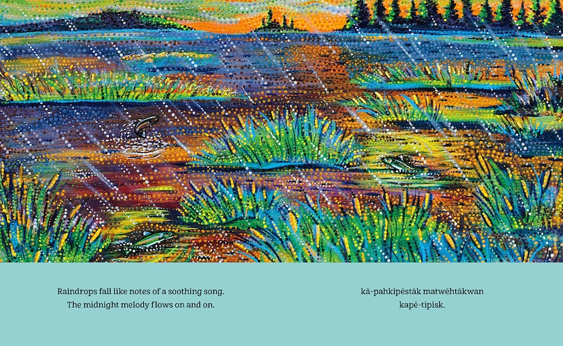 Aperçu du contenu 5_This Land Is a Lullaby / cistomâwasowin ôma askiy