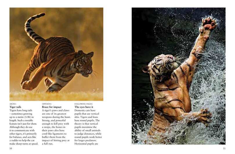 Sample content 4_Tigers