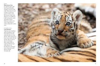 Sample content 5_Tigers