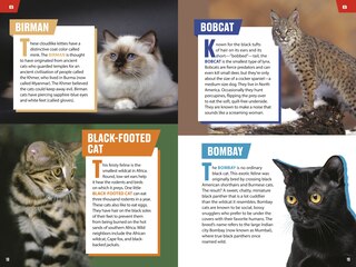 Sample content 2_TIME for Kids: Big Cats, Small Cats