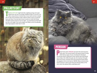 Sample content 3_TIME for Kids: Big Cats, Small Cats