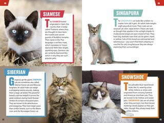 Sample content 4_TIME for Kids: Big Cats, Small Cats