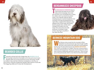 Sample content_TIME for Kids: Good Dogs!