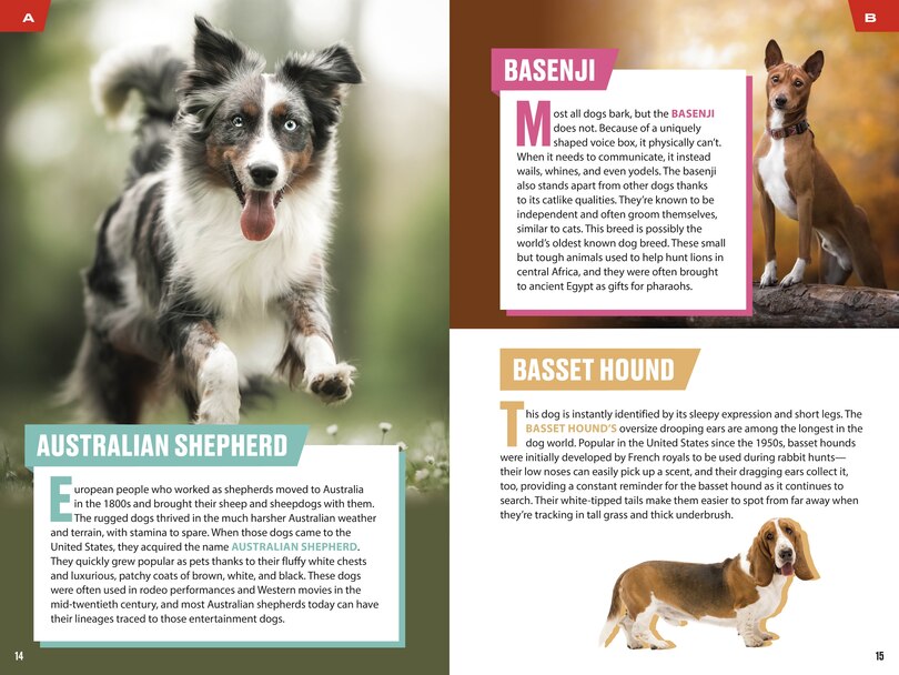 Sample content 2_TIME for Kids: Good Dogs!