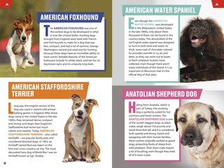 Sample content 4_TIME for Kids: Good Dogs!
