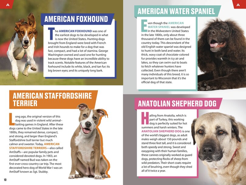 Sample content 4_TIME for Kids: Good Dogs!