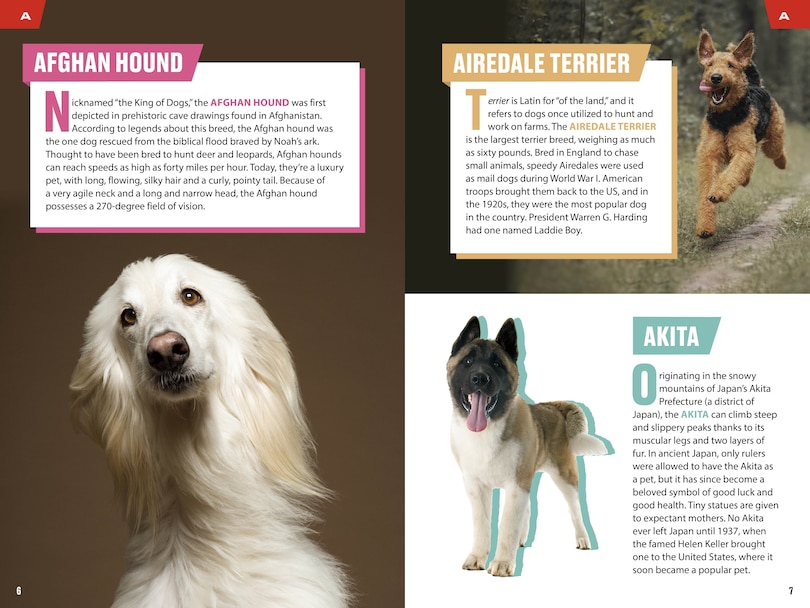 Sample content 5_TIME for Kids: Good Dogs!