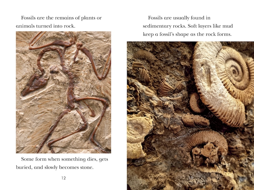 Aper&ccedil;u du contenu 5_TIME for Kids: Rocks